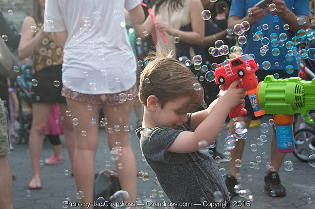 DSC 7976