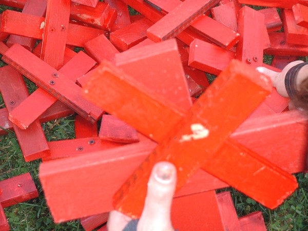 D_red_crosses_grabbing_from_pile.jpg