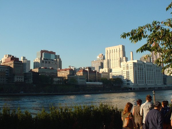 D_view_of_manhattan.jpg