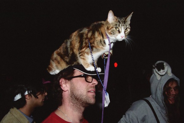 F_cat_on_the_hat_both.jpg