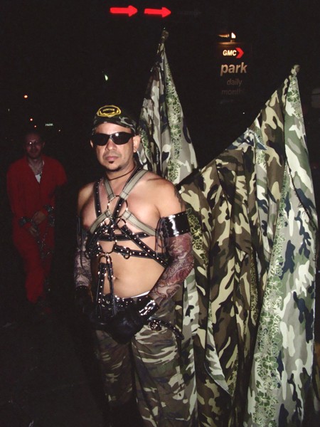 F_master_gi_wings.jpg