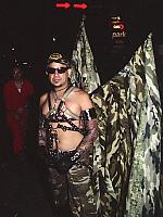 F_master_gi_wings.jpg