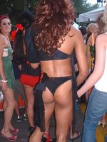 D_asses_of_wigstock_whale_tail.jpg