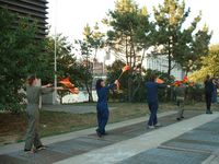 Filename : D_flagmen_showing_the_way.jpg
Filesize : 80KB
Dimensions : 600x450
Date added : Oct 03, 2005 D_flagmen_showing_the_way.jpg