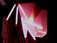 D_momo_-_in_lights.jpg