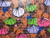 D_umbrellas.jpg